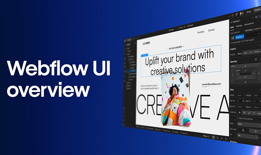 外貿收付款的主流方式有哪些？